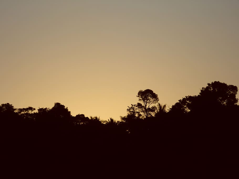 sunset, gold, cabrália, hill, mountain, sky, silhouette, tree HD wallpaper