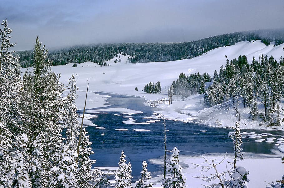 Winter landscape scene in Yellowstone National Park, Wyoming HD wallpaper
