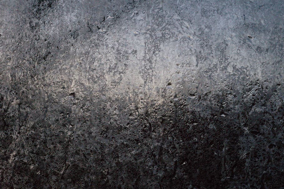 winter, frost, ice, backgrounds, full frame, textured, gray HD wallpaper