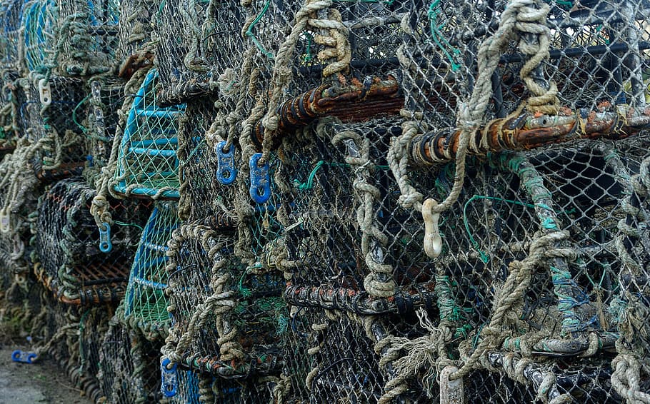 fishing, lockers, lobsters, rope, fishing Industry, commercial Fishing Net HD wallpaper