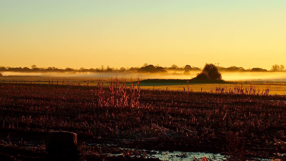 sunset, dawn, landscape, evening, in the, dusk, sky, tranquility HD wallpaper