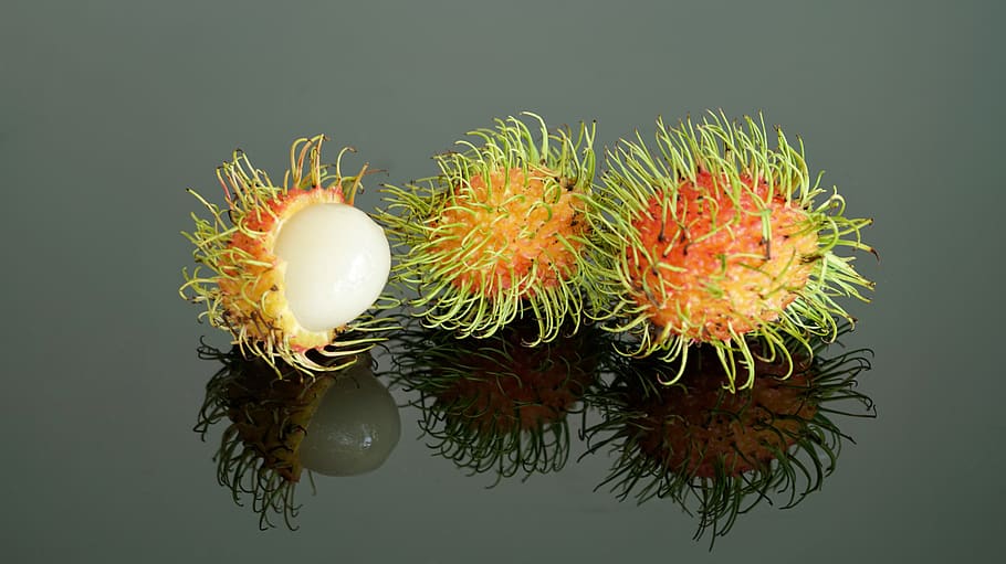 rambutan, fruit, tree, tropical, thailand, edible, nature, color HD wallpaper
