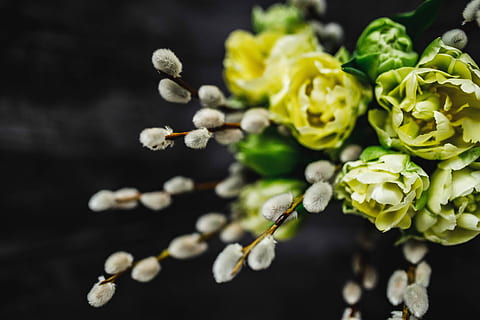 Close-ups of little yellow flowers and catkins in a glass jar HD wallpaper