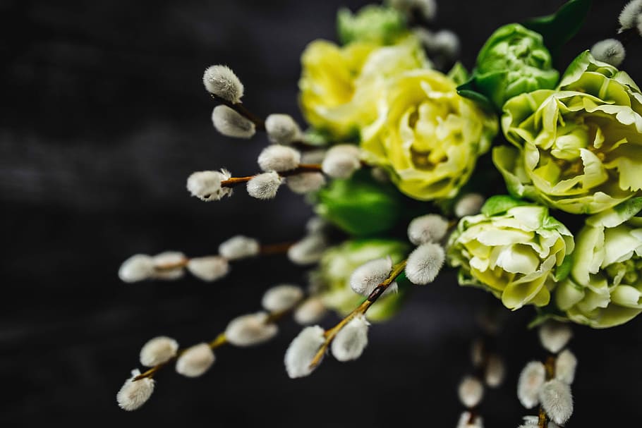 Close-ups of little yellow flowers and catkins in a glass jar HD wallpaper