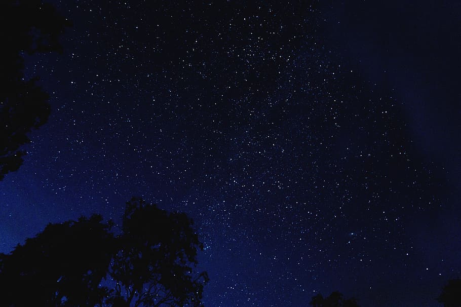 starry night, low-angle photo of stars, silhouette, trees, dark HD wallpaper