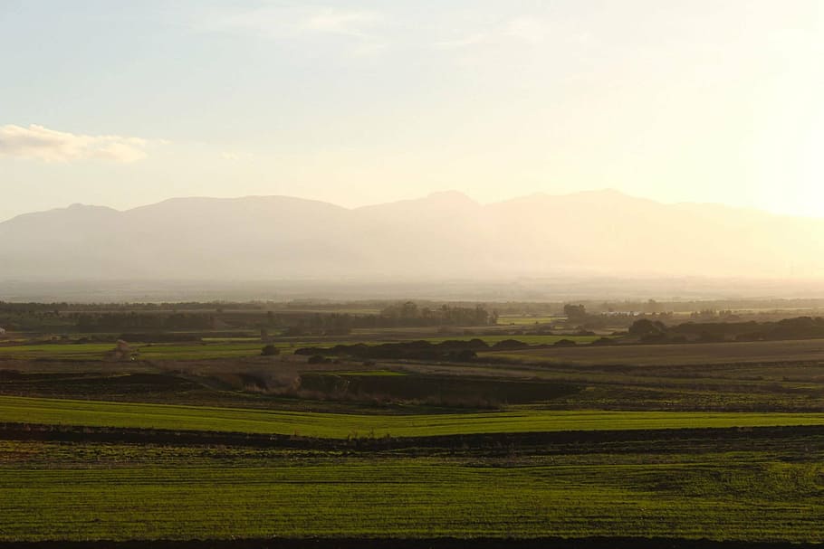 plain, sardinia, landscape, fog, morting, vista, green, horizon HD wallpaper