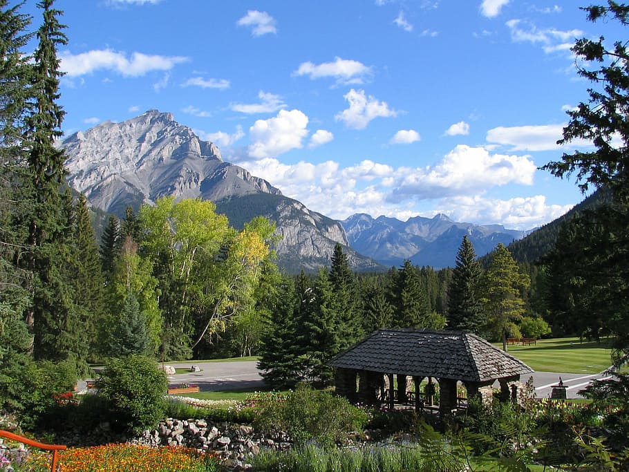 gazebo surrounded by trees, banff, canada, alberta, park, mountain HD wallpaper