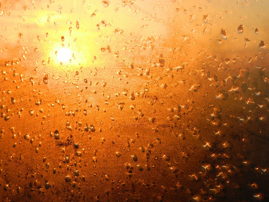 sunset, drops, evening, wet, water, full frame, backgrounds HD wallpaper