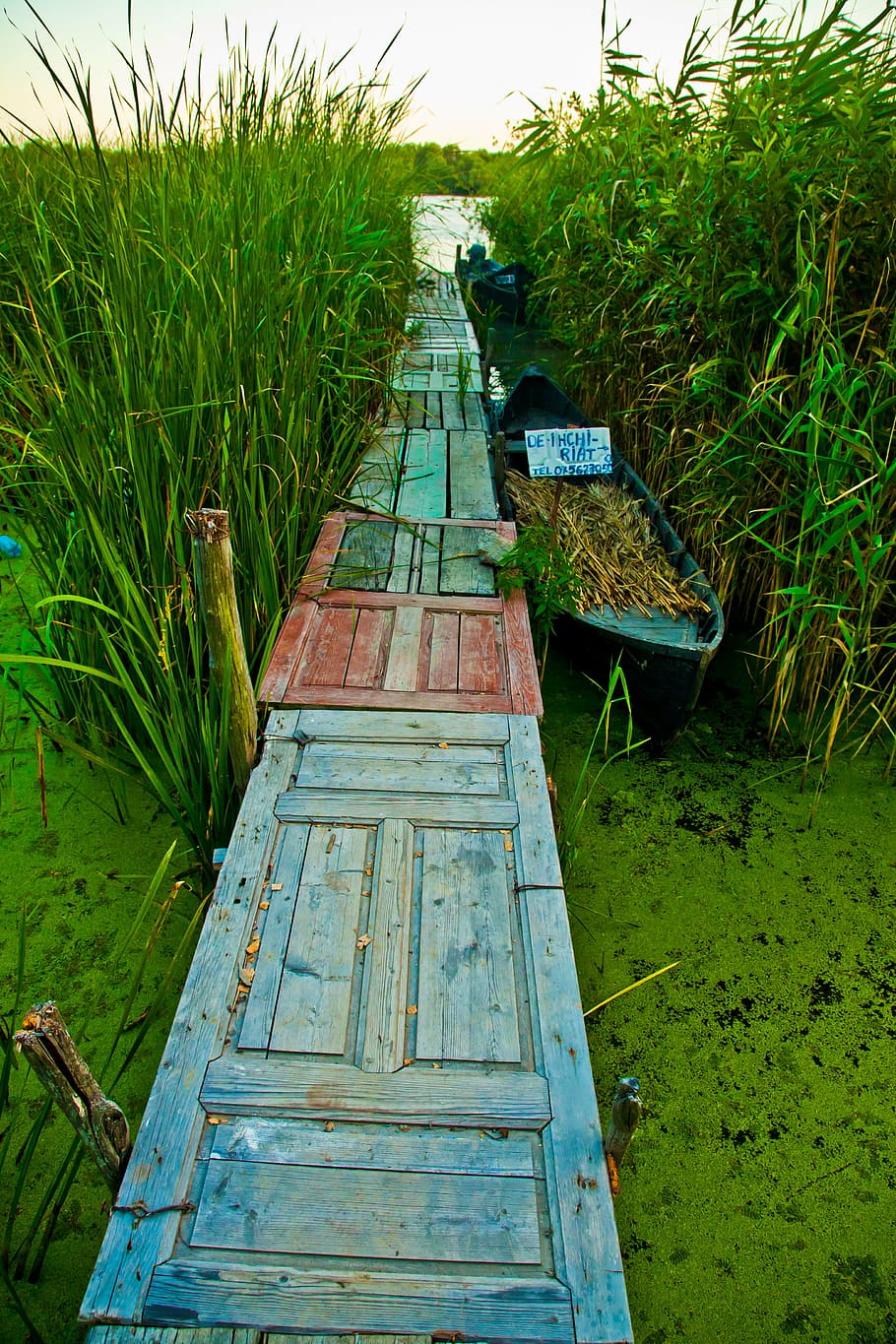 green grass peild, boat, near, body, water, daytime, outdoor HD wallpaper