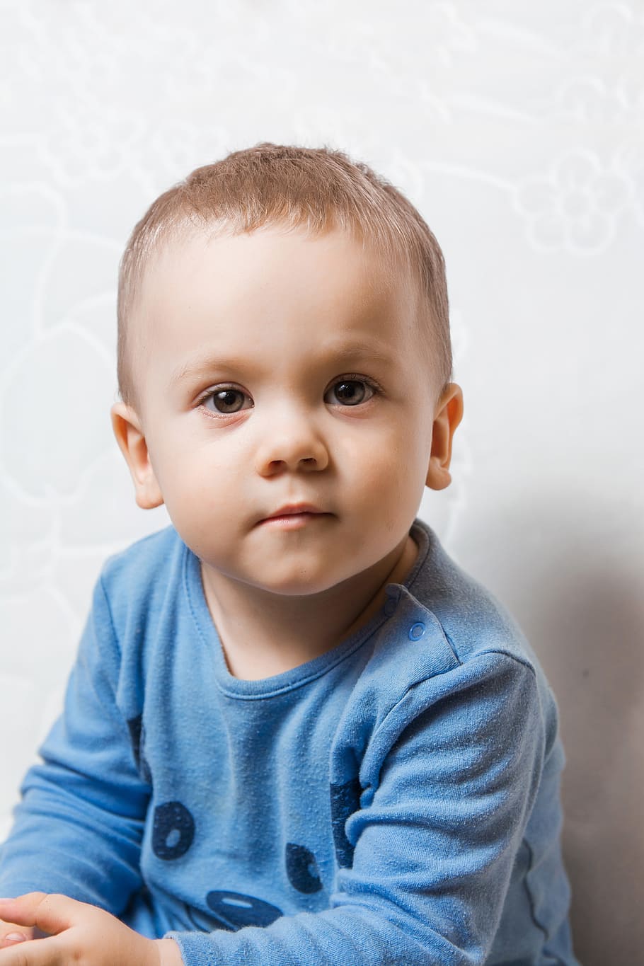 boy wearing blue crew-neck long-sleeved shirt, child, kid, portrait HD wallpaper