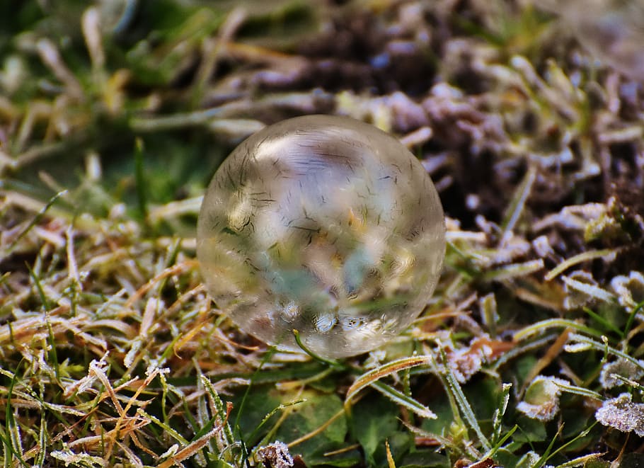 Soap Bubble, Frozen, Winter, frozen bubble, cold, wintry, nature HD wallpaper