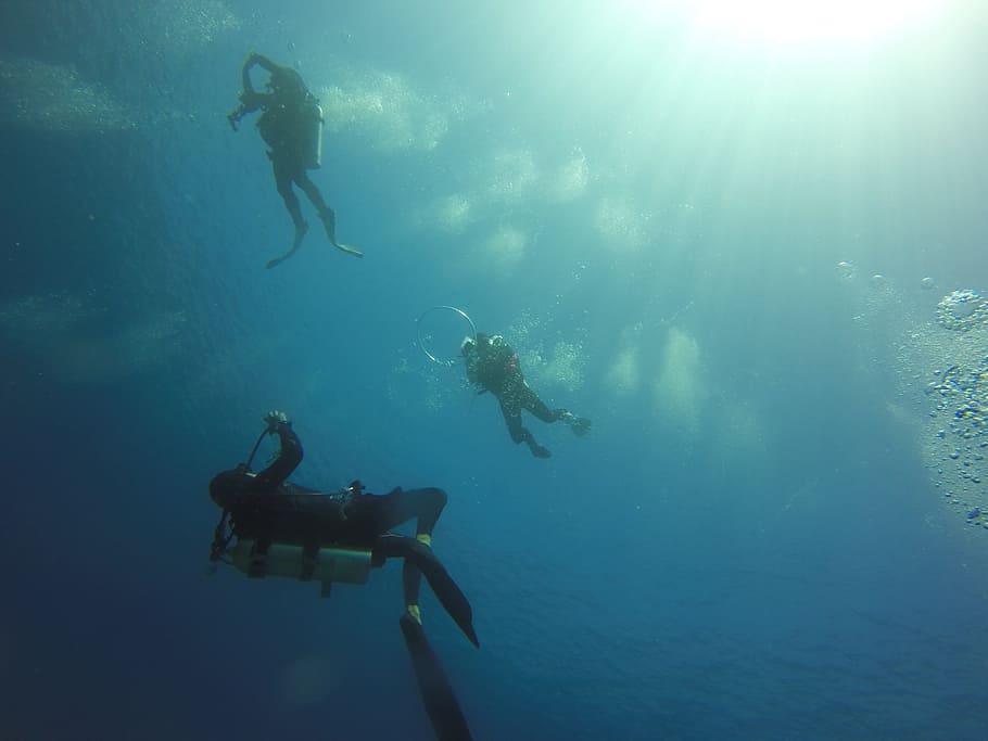 Scuba Diving, Ocean, water, underwater, sea, diver, reef, tropical HD wallpaper