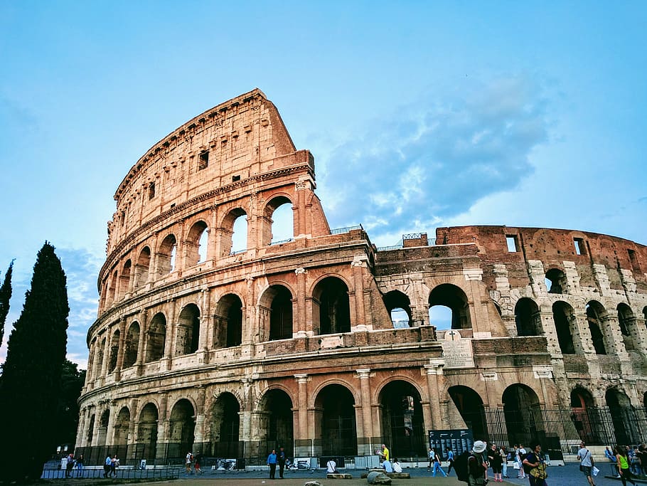 1080x2340px | free download | HD wallpaper: colosseum, rome, italy ...