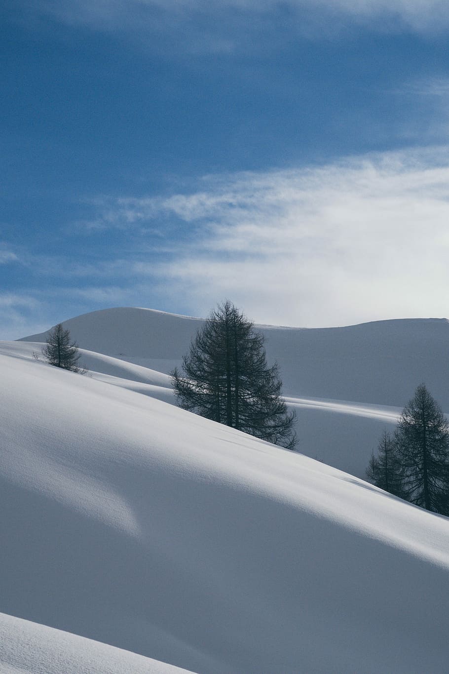 snow-covered field, blue, sky, cloud, winter, tree, cold temperature HD wallpaper