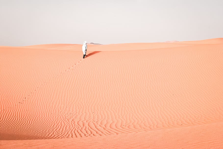 person walking on desert, sky, outdoor, view, landscape, highland HD wallpaper