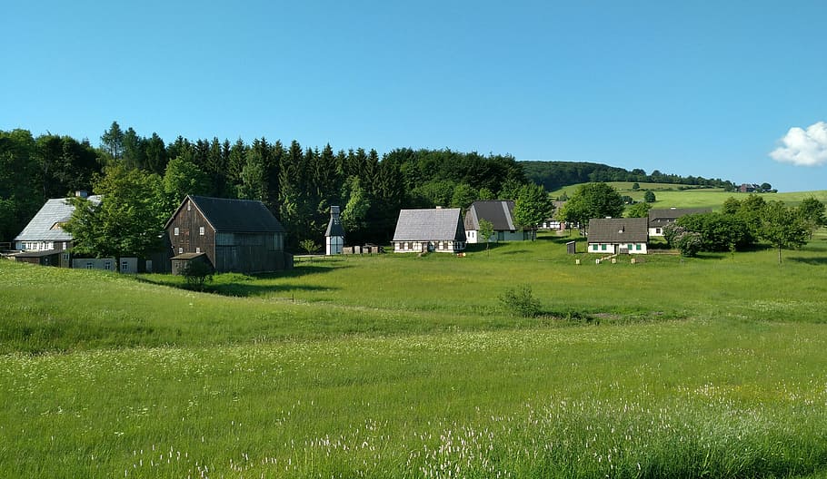 houses near trees under blue sky, open air museum, seiffen HD wallpaper