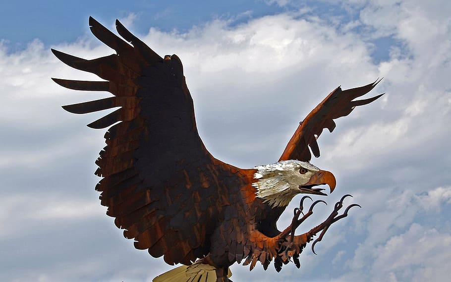 bald, eagle, bird, animal, landing, metal, rust, oversized HD wallpaper