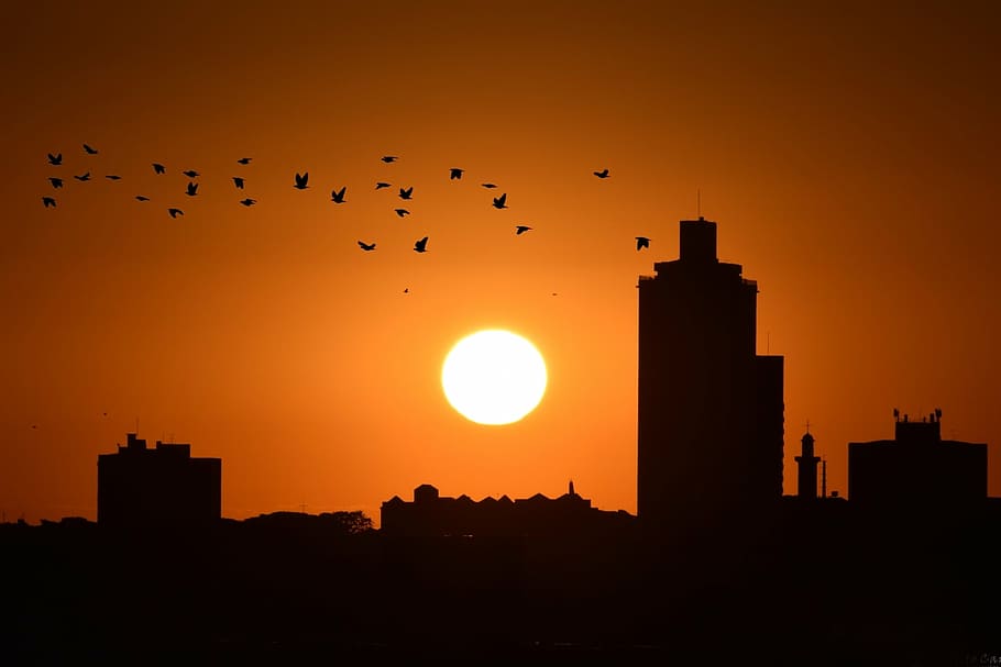 sol, sunset, city, eventide, sunset city, against light, building HD wallpaper
