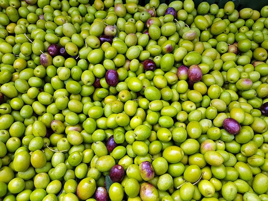 green fruit lot, olives, mediterranean, natural, harvest, organic, HD wallpaper