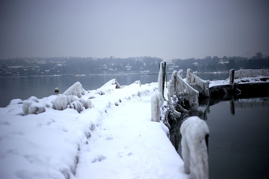 snow, winter, frozen, cold, ice, water, lake, morning, icy HD wallpaper