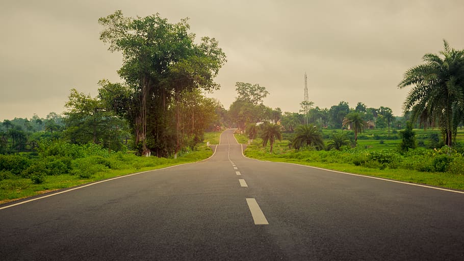 Road, Green, Sky, Tree, Black, White, west, bengal, light, clean