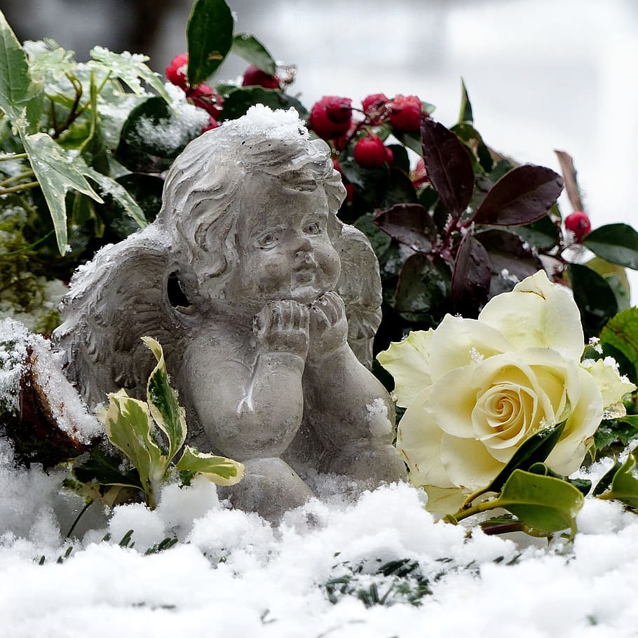 cherub figurine surrounded with flowers, still life, angel HD wallpaper