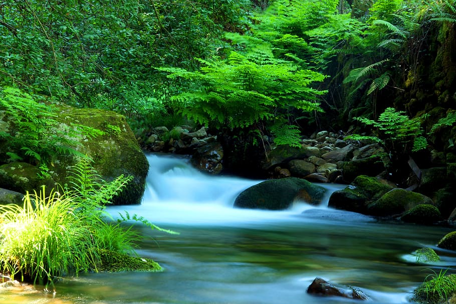 Agua, Cascade, Sever, autumn, cabreia, vouga, forest, long exposure HD wallpaper
