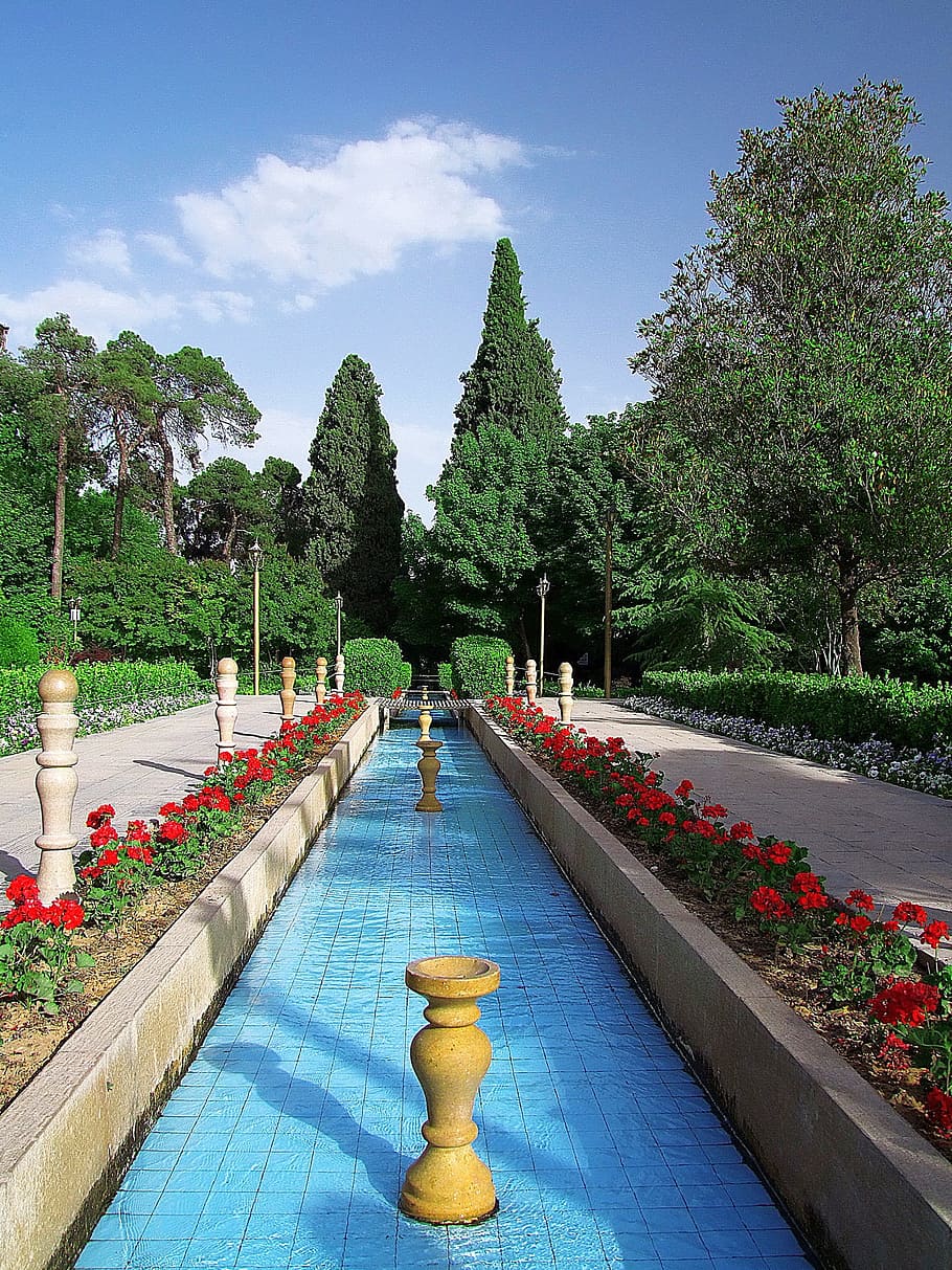 Summer, Tree, Beautiful, Tehran, swimming pool, fountain, water