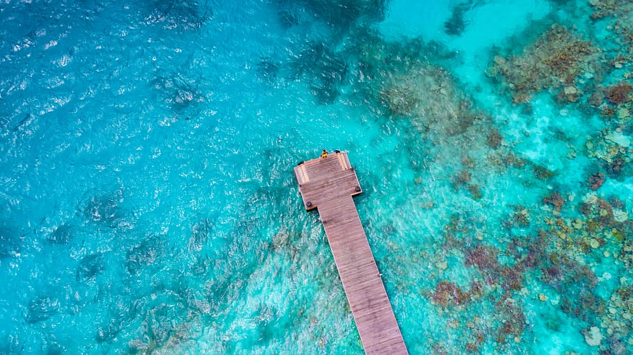 bird's eye photography of ocean dock, bird's eye view of brown dock HD wallpaper