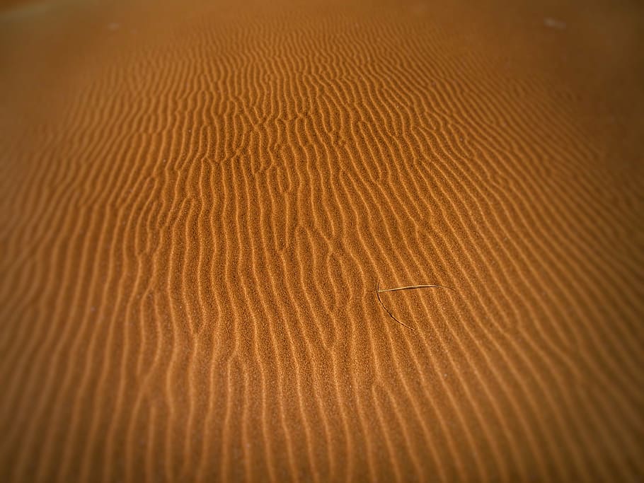 desert, dry, dune, dunes, hot, sand, sand dunes, sandy, wind on sand HD wallpaper
