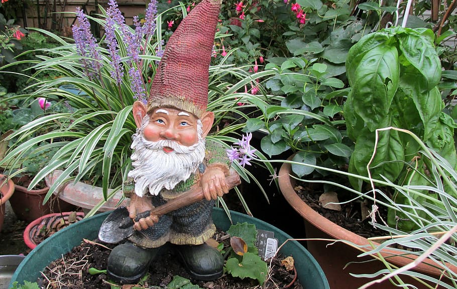 garden, gnome, digging, looking at camera, plant, growth, portrait HD wallpaper