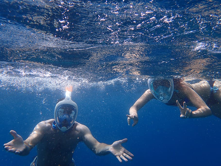 Photo of People Snorkeling Underwater, divers, diving, enjoyment