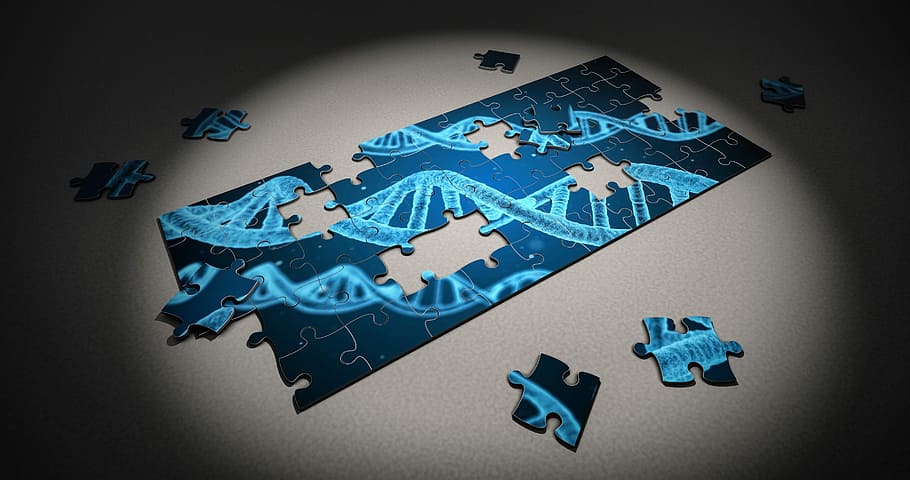 shallow focus photography of blue and black jigsaw puzzle, Dna, Research, HD wallpaper