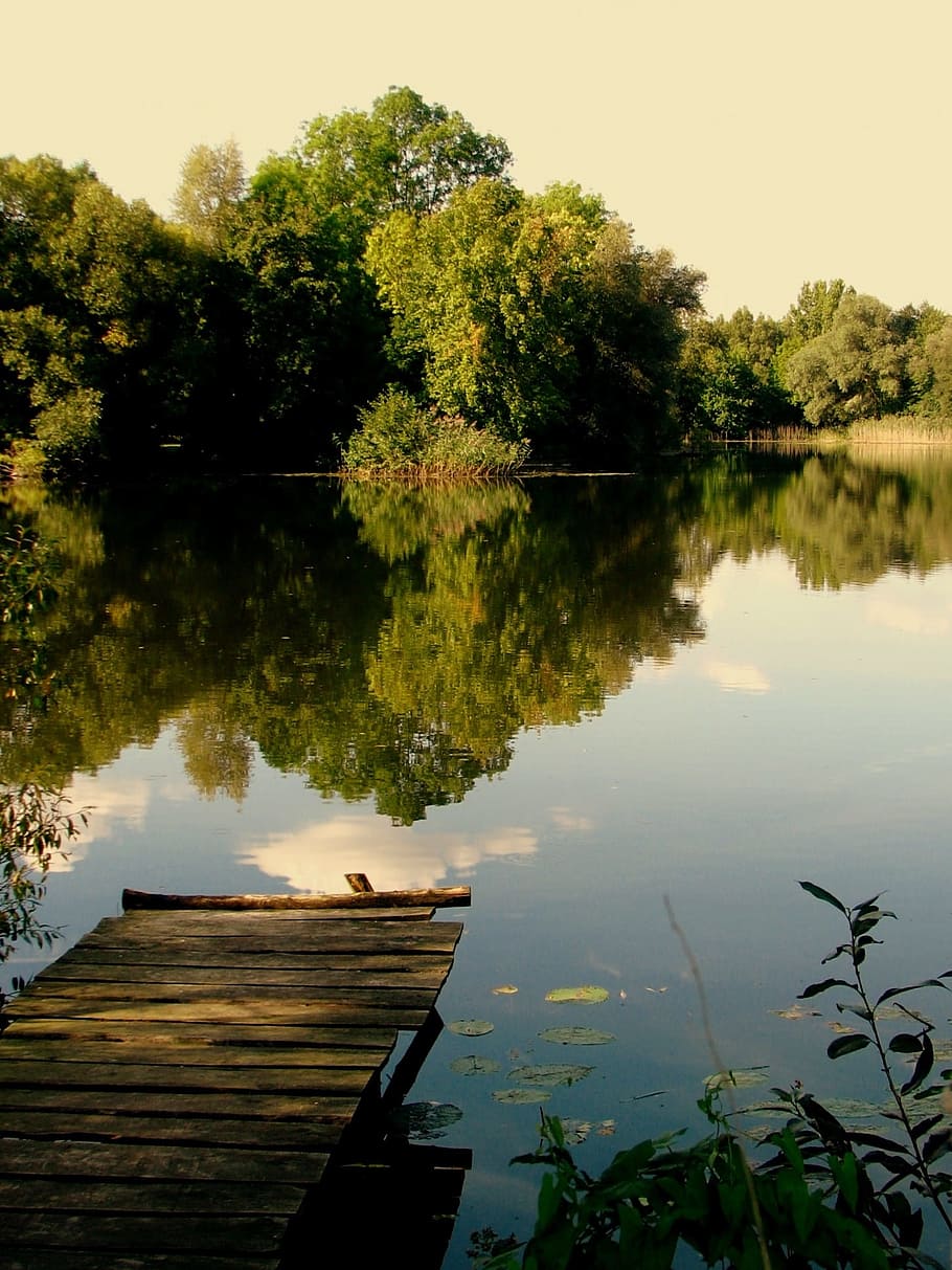 Web, Pond, Lake, Water, Waters, Jetty, mood, boardwalk, fish HD wallpaper