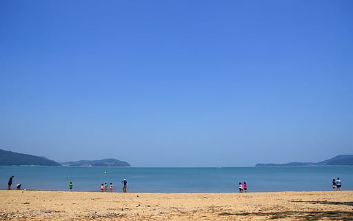 klitschko, whether or not, beach, sea, people, summer, nature HD wallpaper