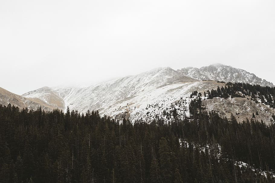 Church, forest near snow capped mouontain, mountain, cloudy, green HD wallpaper