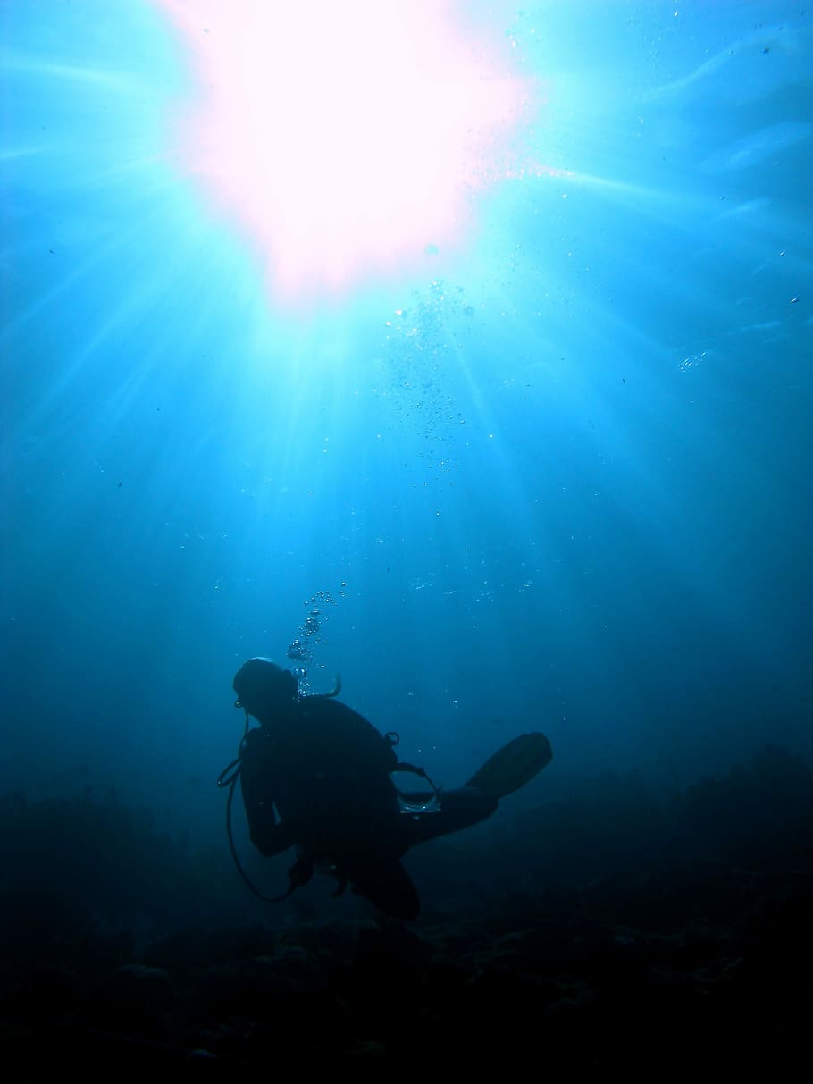 Diver, Sunlight, Scuba, Underwater, diver in sunlight, scuba diving, HD wallpaper