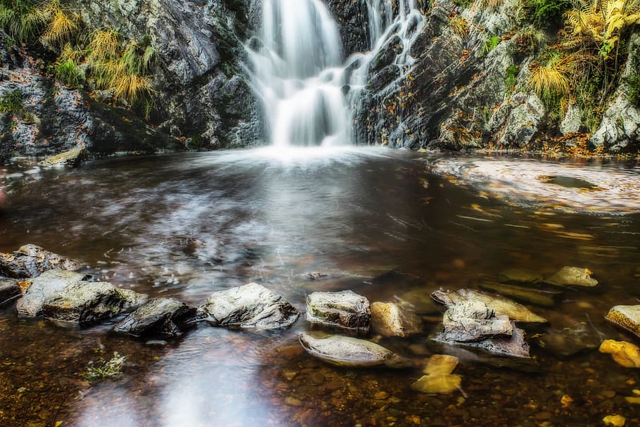 waterfalls between forest during daytime, small waterfall, flow HD wallpaper