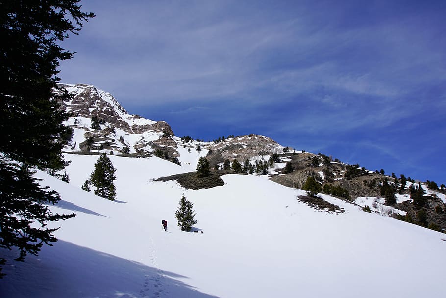 snow-covered mountain, trees on snow covered mountain, landscape HD wallpaper