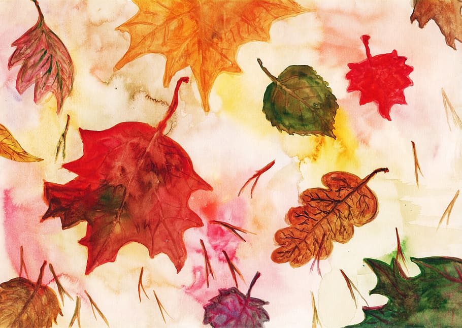 photo of maple leaf illustration, maple leaves, red leaf, autumn leaf HD wallpaper