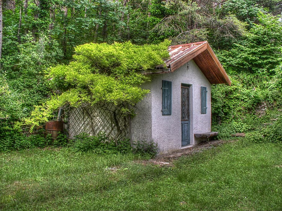 gray concrete house near tree during daytime, small house, vines HD wallpaper