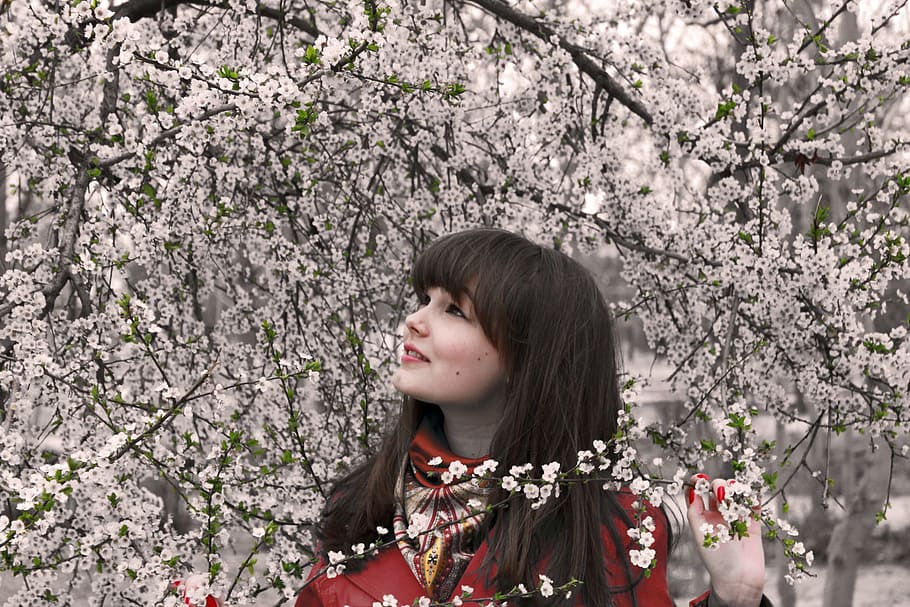 woman in red coat standing near trees, spring, flowers, cherry HD wallpaper