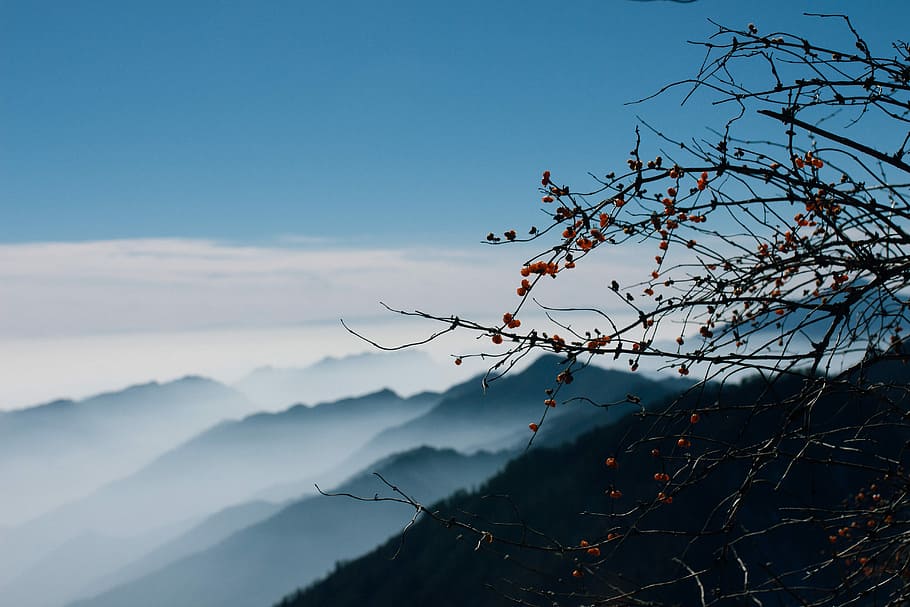 bird's eye view of mountain with fog, round red fruit over mountain under blue sky at daytime HD wallpaper