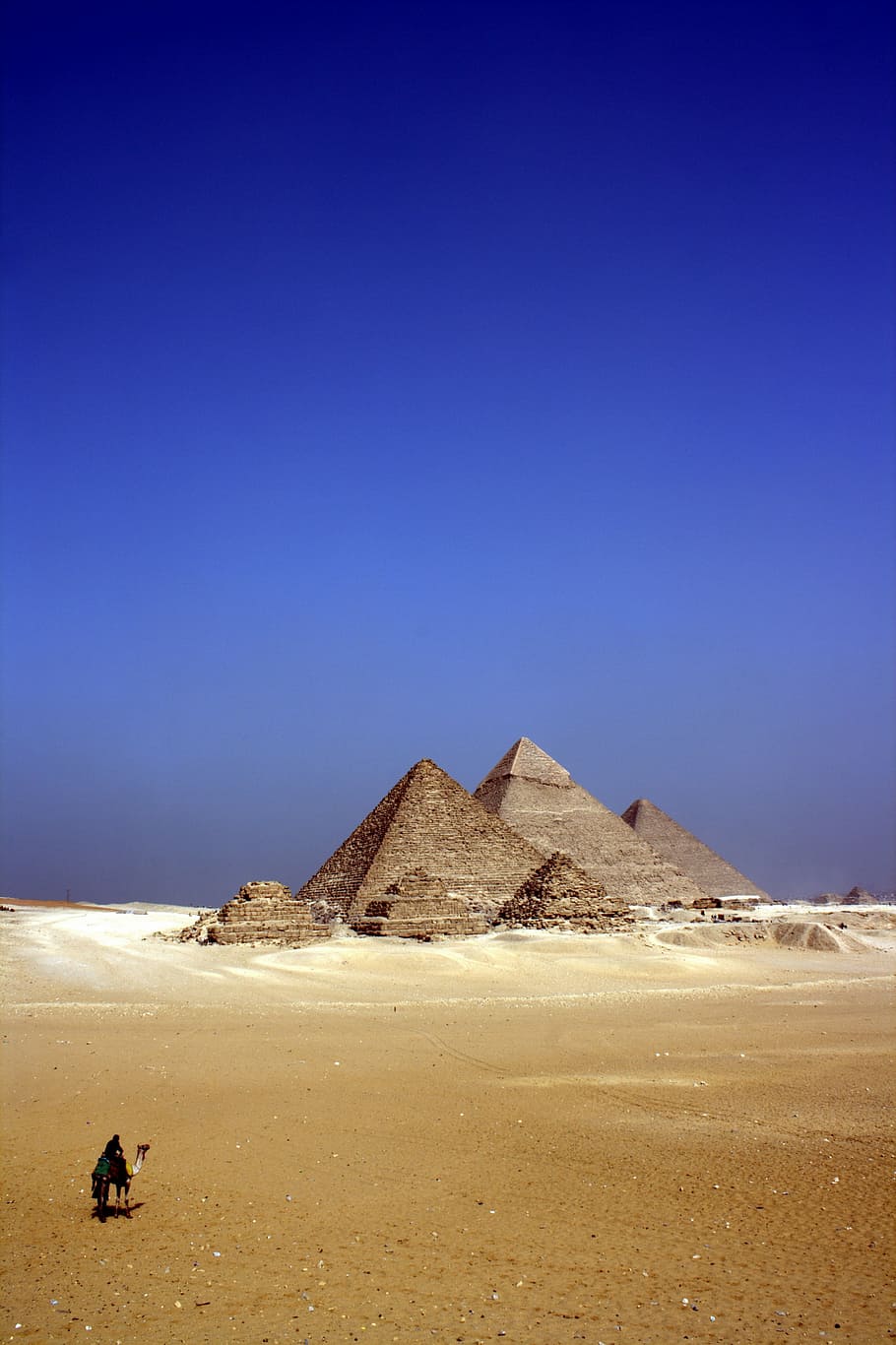 pyramid during daytime, alone, camel, desert, egypt, person HD wallpaper