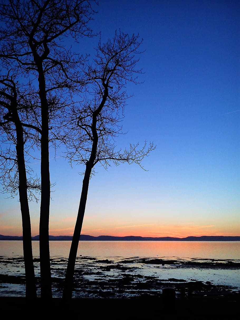 trees, sunset, river, nature, sea, dusk, sky, water, beauty in nature HD wallpaper