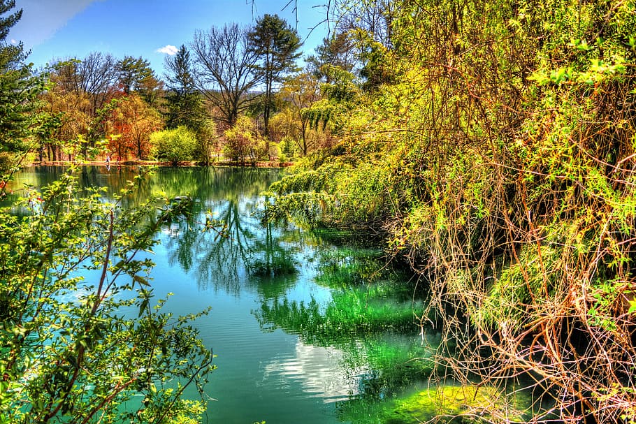 spring, pond, trees, nature, landscape, water, outdoor, scene HD wallpaper