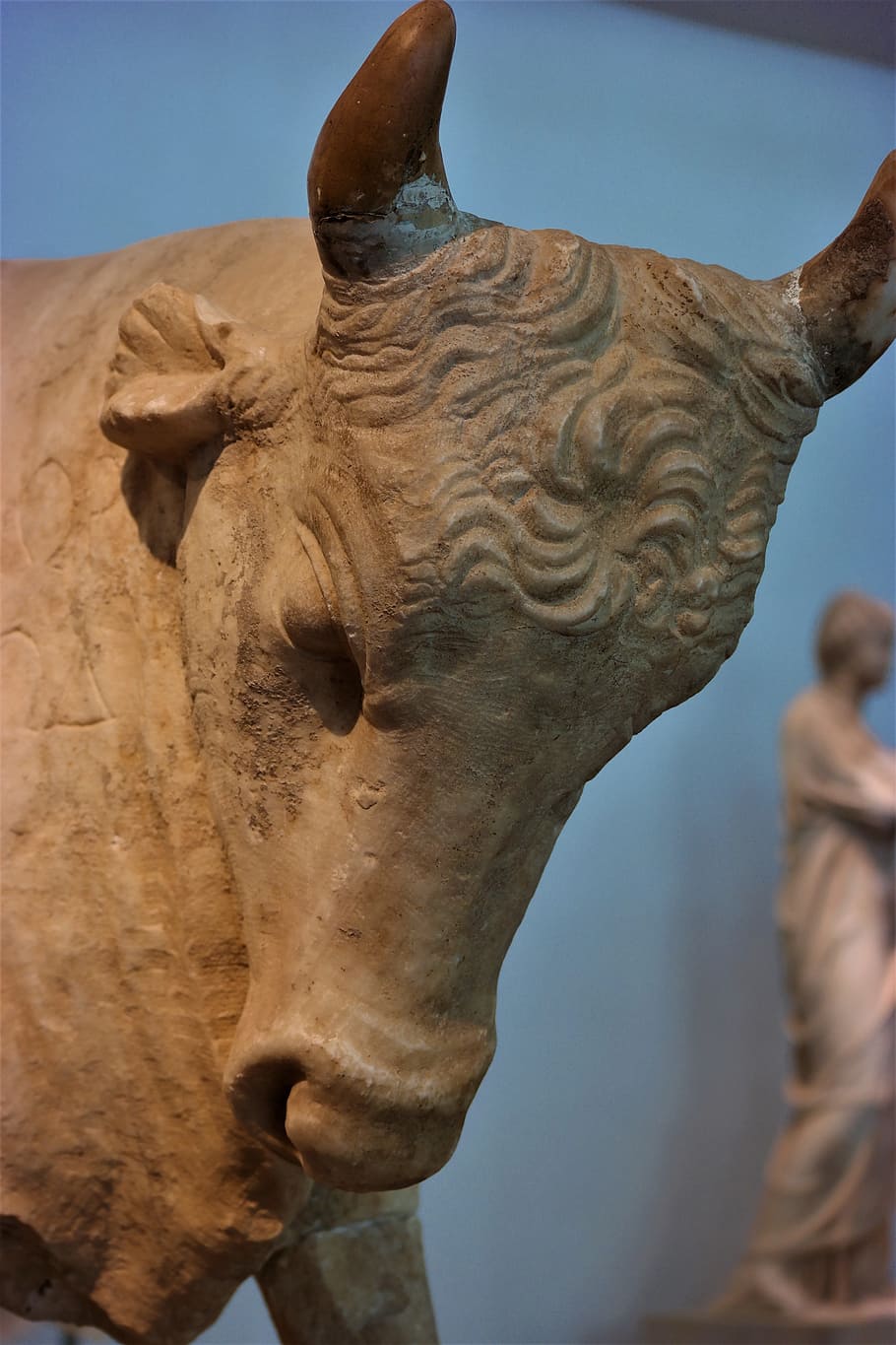 bull, statue, sculpture, figure, greece, olympia, museum, art and craft, HD wallpaper