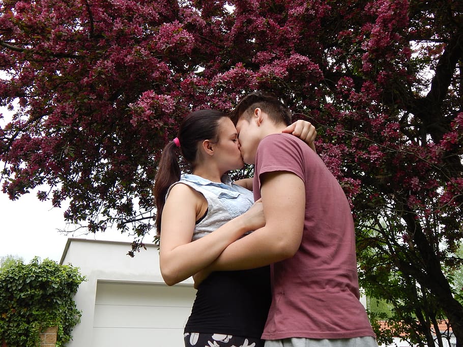 Public Domain. couple kissing under purple leafed tree during daytime, Budd...