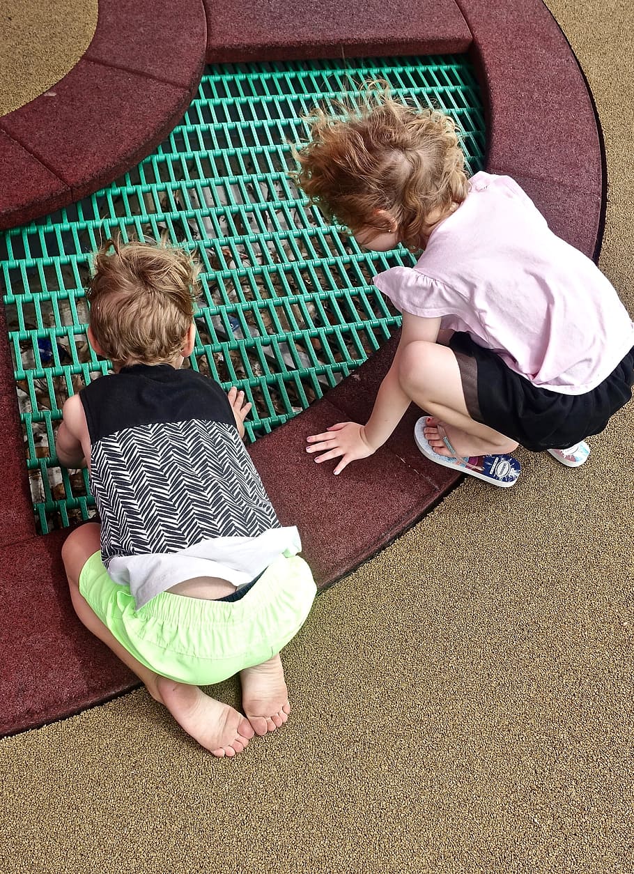 Children, Exploring, Kids, Play, looking, friends, full length HD wallpaper
