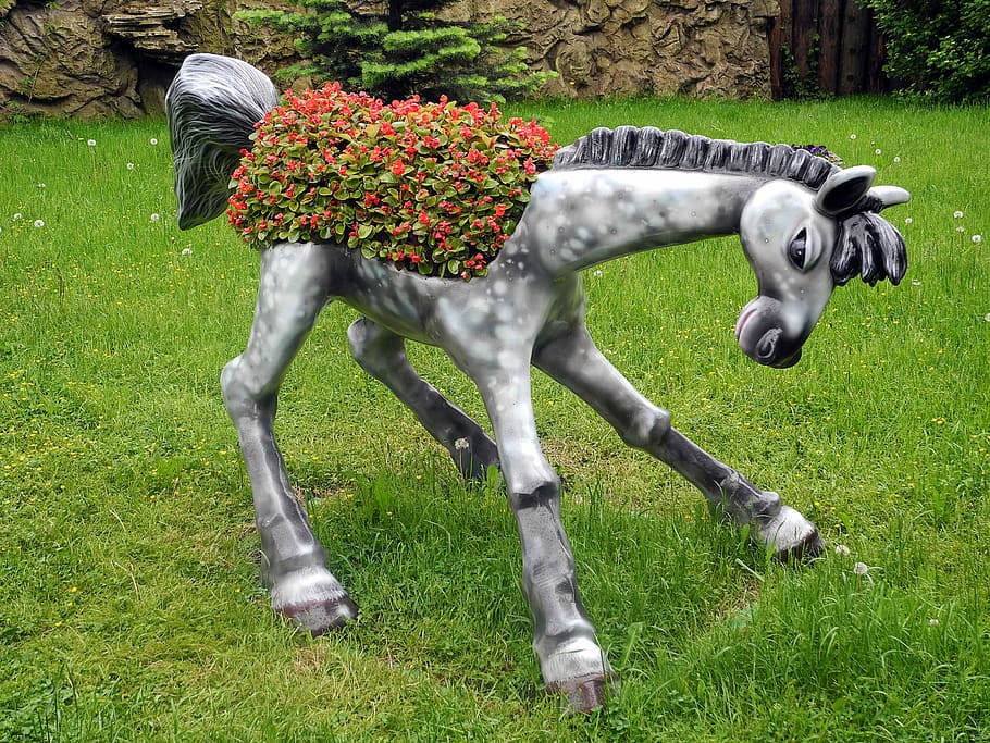 Vacation, Stroll, park, summer, city park, animals, foal, design HD wallpaper